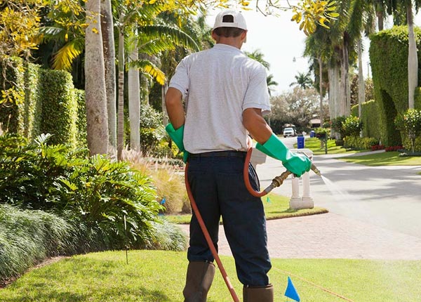 About Lone Oak TX Pest Control Pros